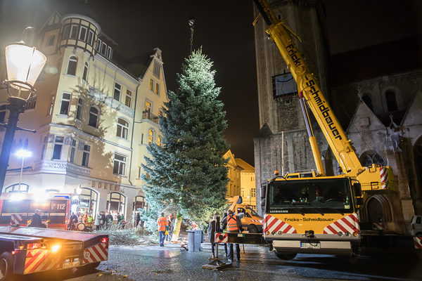 Die Mitarbeiterinnen und Mitarbeiter der Stadtverwaltung stellen den Baum auf dem Domplatz dieses Jahr tagsüber auf, anders als auf dem Bild aus dem Vorjahr. (Wird bei Klick vergrößert)