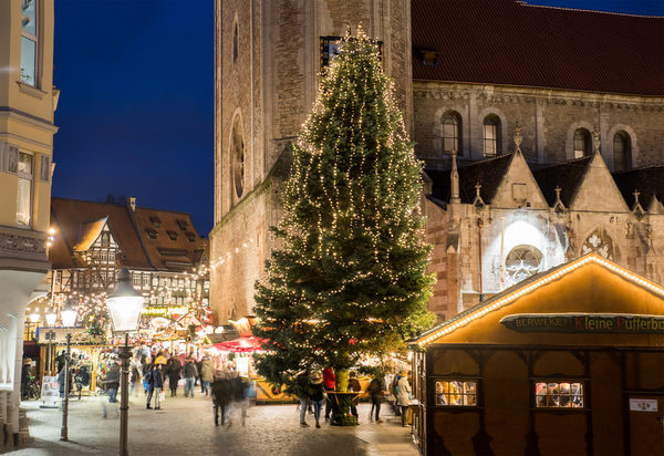 Die Tanne auf dem Burgplatz gehört jedes Jahr zum Braunschweiger Weihnachtsmarkt dazu. Ab dem 28. November erstrahlt sie in weihnachtlicher Beleuchtung. (Wird bei Klick vergrößert)