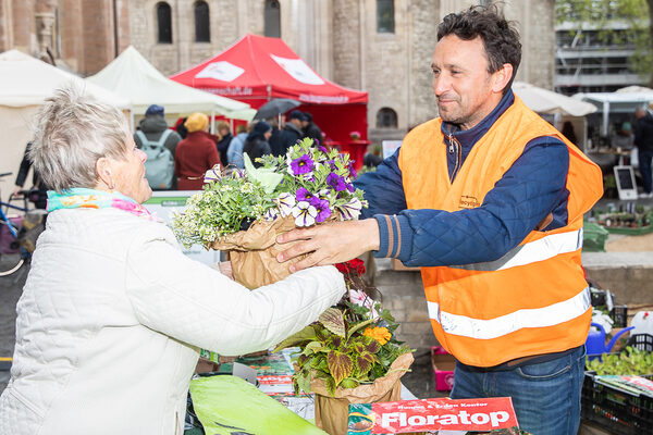 Besucherinnen und Besucher können sich beraten lassen und bunte Pflanzenvielfalt bei regionalen Gärtnereien für zu Hause erwerben. (Wird bei Klick vergrößert)