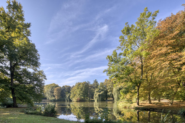 Die weiten Parkanlagen am Fluss Oker laden zu entspannten Spaziergängen in der Herbstsonne ein. (Wird bei Klick vergrößert)