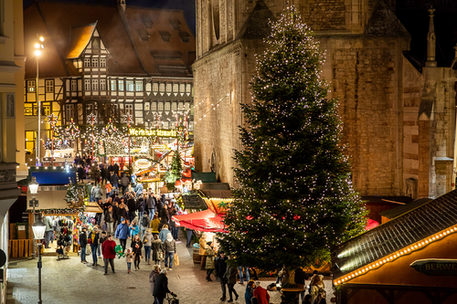 Ab dem 9. November werden zwei Weihnachtsbäume den Altstadtmarkt und den Domplatz zieren – wie auf diesem Bild aus dem Jahr 2018.