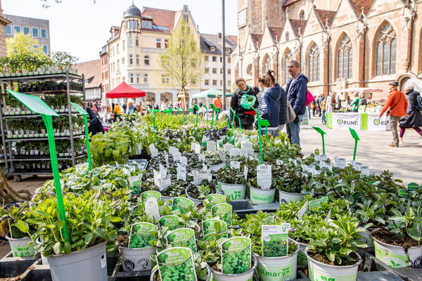 Dekoratives und Leckeres aus der Natur erwartet Besucherinnen und Besucher beim zweiten BBG-Stadtnaturtag am 18. Juni auf dem Domplatz. (Wird bei Klick vergrößert)