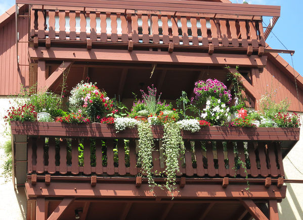 Der Balkon von Renata Schindler gewinnt in der Kategorie Blumenpracht. (Wird bei Klick vergrößert)
