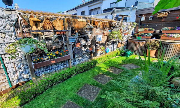 Hier fühlen sich Bienen besonders wohl: Der Garten von Klaus Schökel gewinnt in der Kategorie Bienenglück. (Wird bei Klick vergrößert)