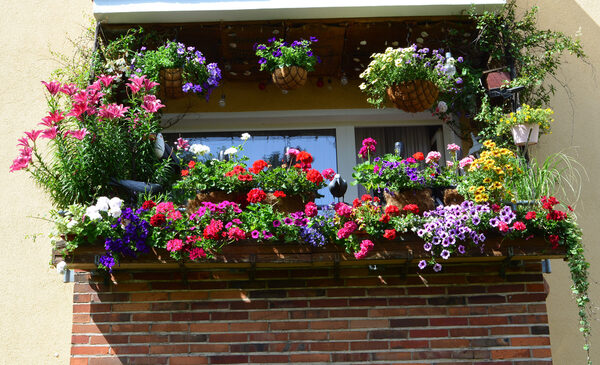 In der Kategorie Blumenpracht gewinnt der Balkon von Karsten Knispel. (Wird bei Klick vergrößert)