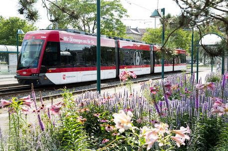 Das Bild zeigt eine Stadtbahn der BSVG.