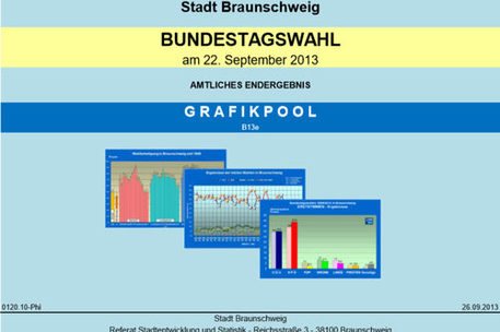 Ausschnitt aus dem Titelblatt Grafikpool zur Bundestagswahl 2013