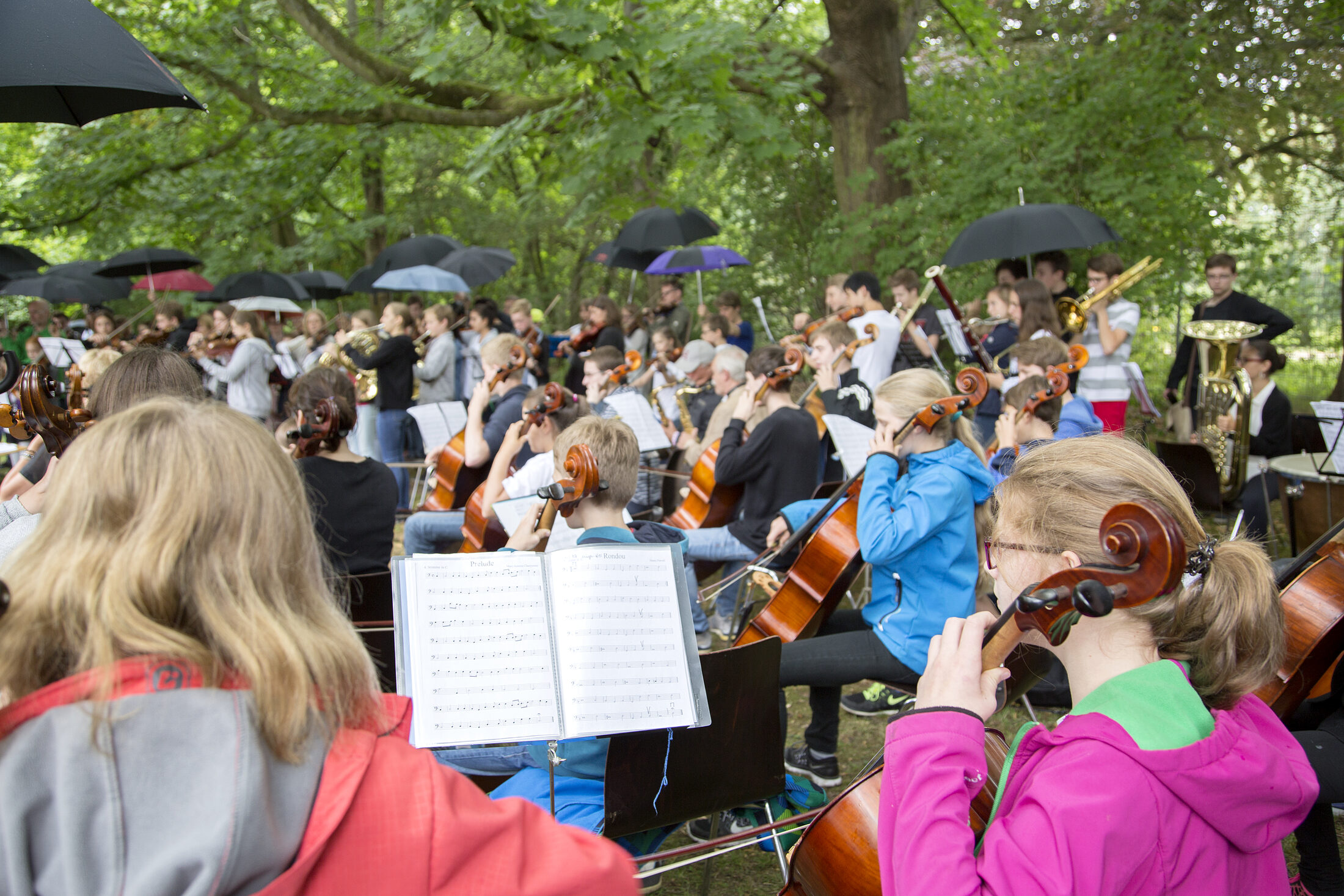 Sommerfest_2015_01.jpg (Wird bei Klick vergrößert)