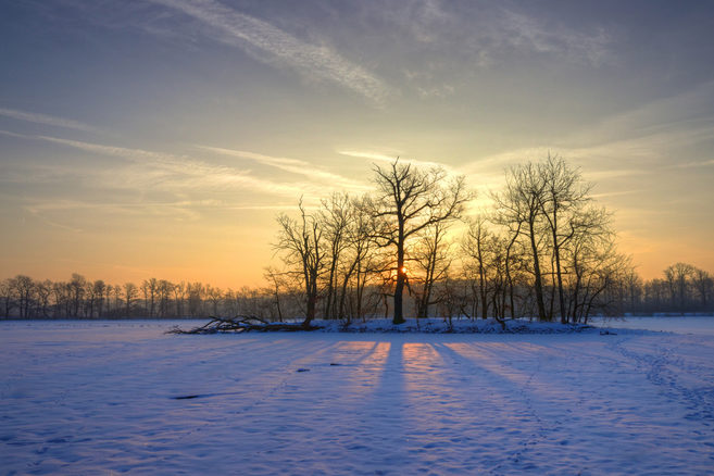Wintermorgen in Riddagshausen (Wird bei Klick vergrößert)