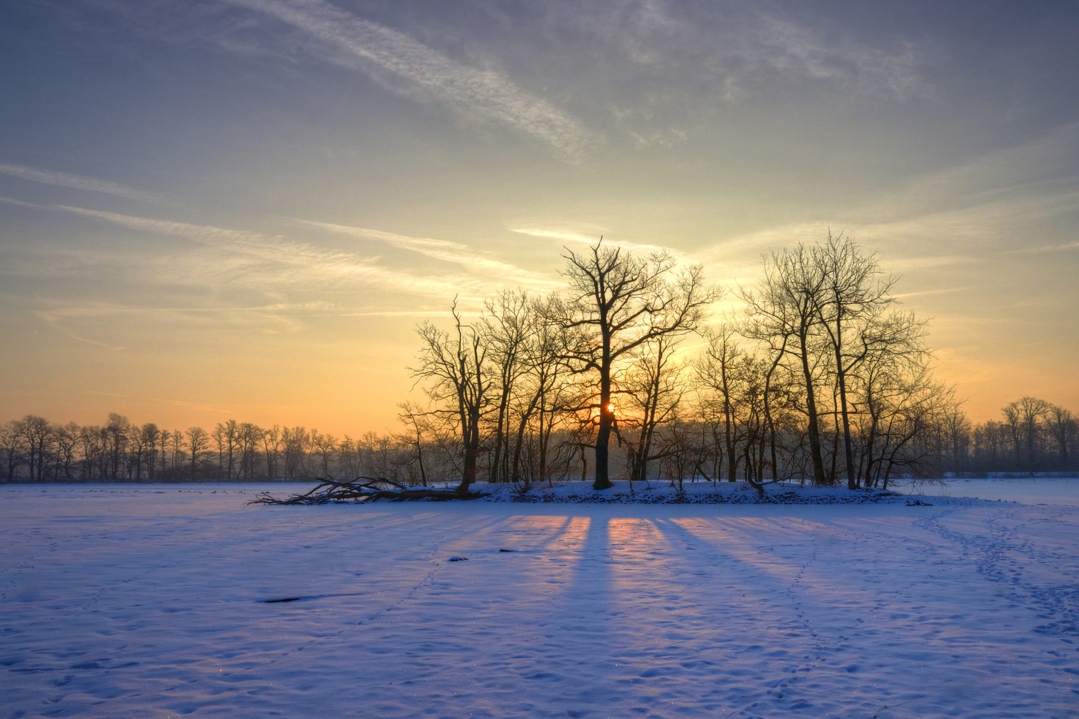 Wintermorgen in Riddagshausen (Zoom on click)