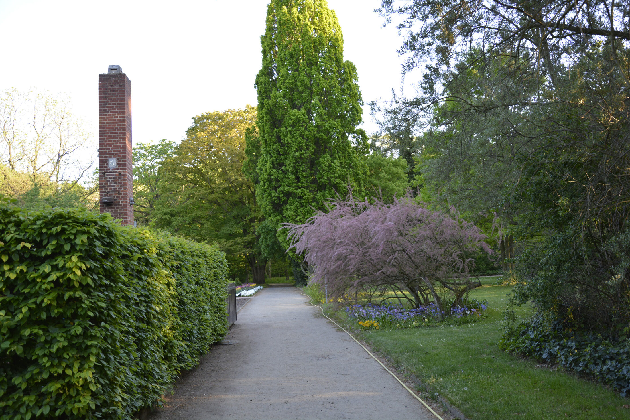 Schul- und Bürgergarten (Wird bei Klick vergrößert)