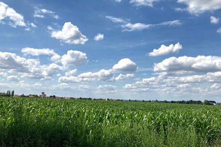 Ein Sommer zum Radfahren