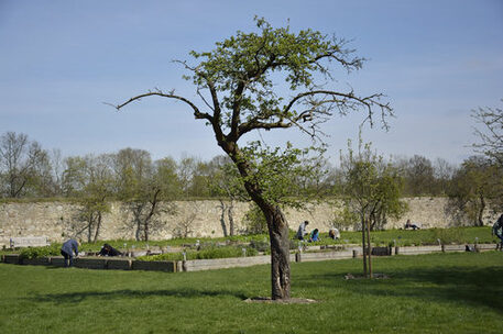 Klostergarten Riddagshausen