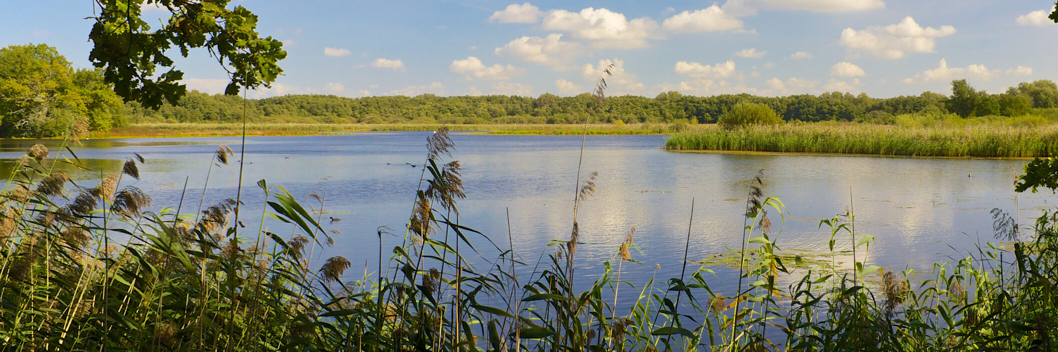 Südsee