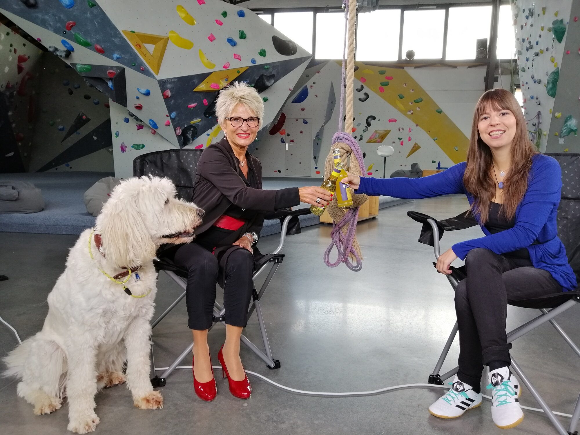 Hildegard Eckhardts Golden Doodle ist auch dabei. Als Bürohund ist er bei den Mitarbeiter*innen sehr beliebt. (Wird bei Klick vergrößert)