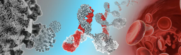 CORAT entwickelt ein innovatives therapeutisches Medikament bestehend aus einem neuartigen vollständig humanen neutralisierenden Antikörper gegen COVID-19, der die Ausbreitung SARS-CoV-2 im menschlichen Körper stoppt. (Wird bei Klick vergrößert)