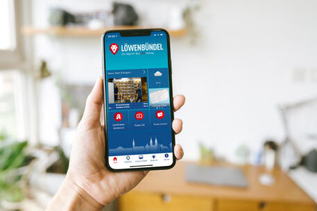 Löwenbündel App