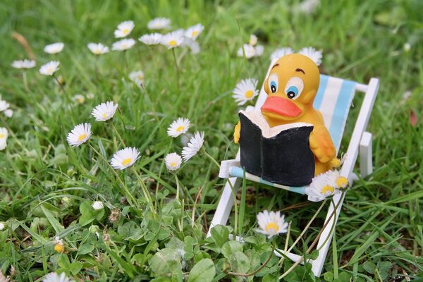 Quietscheentchen mit Buch auf einer Wiese (Wird bei Klick vergrößert)