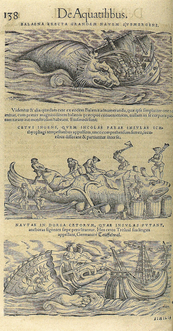 Gessner, Conrad (1516–1565): Historia animalia (Wird bei Klick vergrößert)