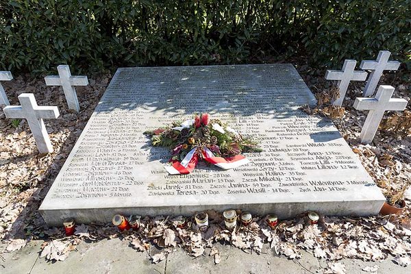Mit Kranz geschmückte und mit Namen und Alter der verstorbenen Kinder versehene Grabplatte mit umgebenden Kreuzen