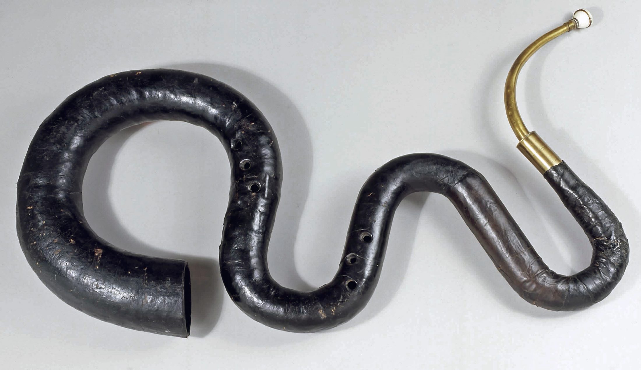 Serpent (Wird bei Klick vergrößert)