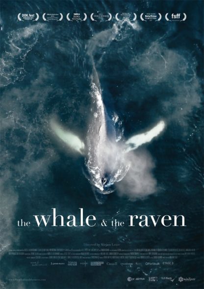 The whale in the raven