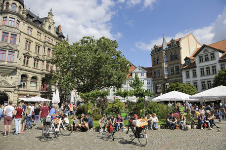 Der sommerstadtgarten fügt sich harmonisch in die Kohlmarkt-Szenerie ein.