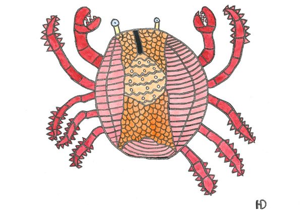 Zeichnung Krabbe (Wird bei Klick vergrößert)