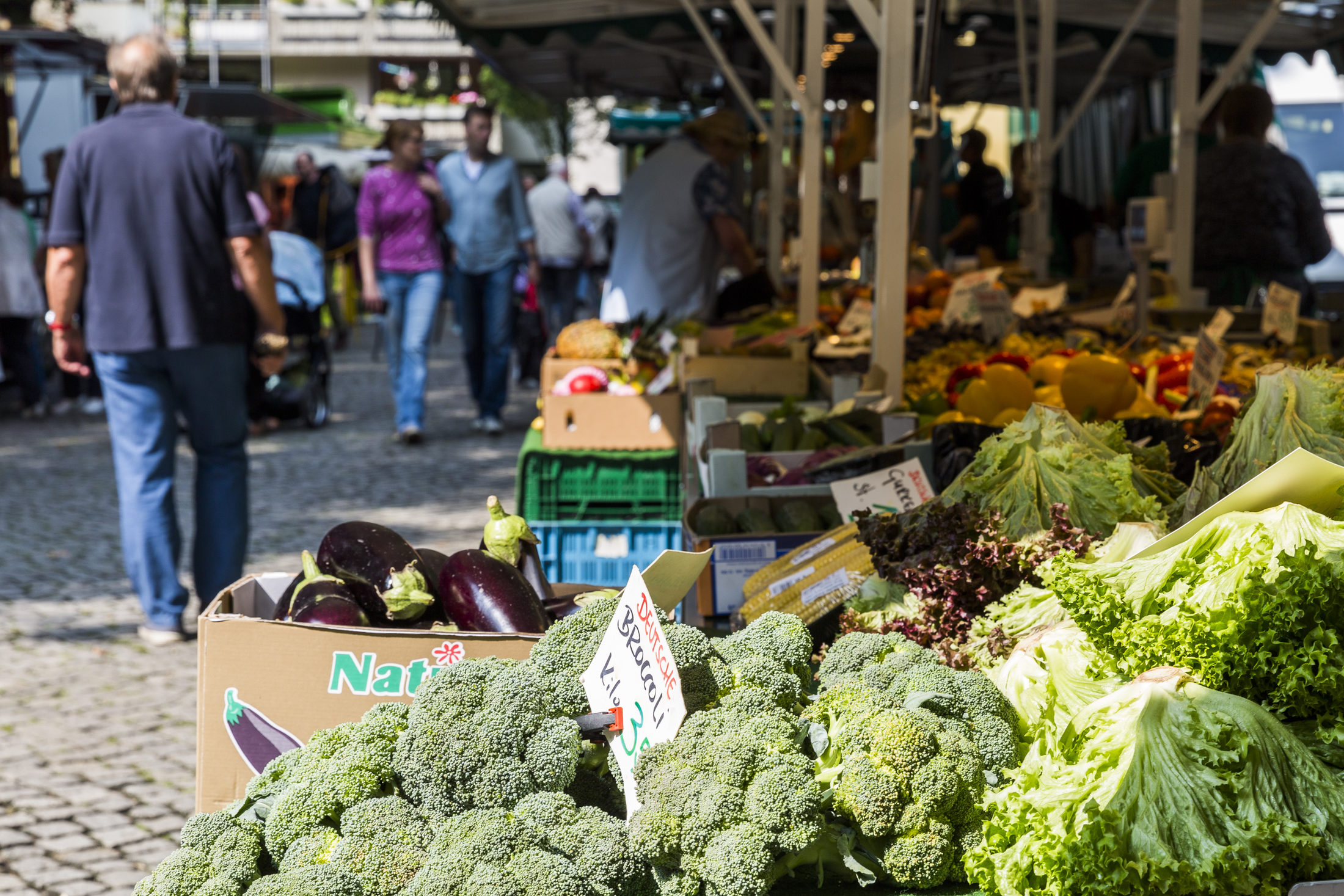 Broccoli, Avocado, Salat in der Auslage eines Marktbeschickers