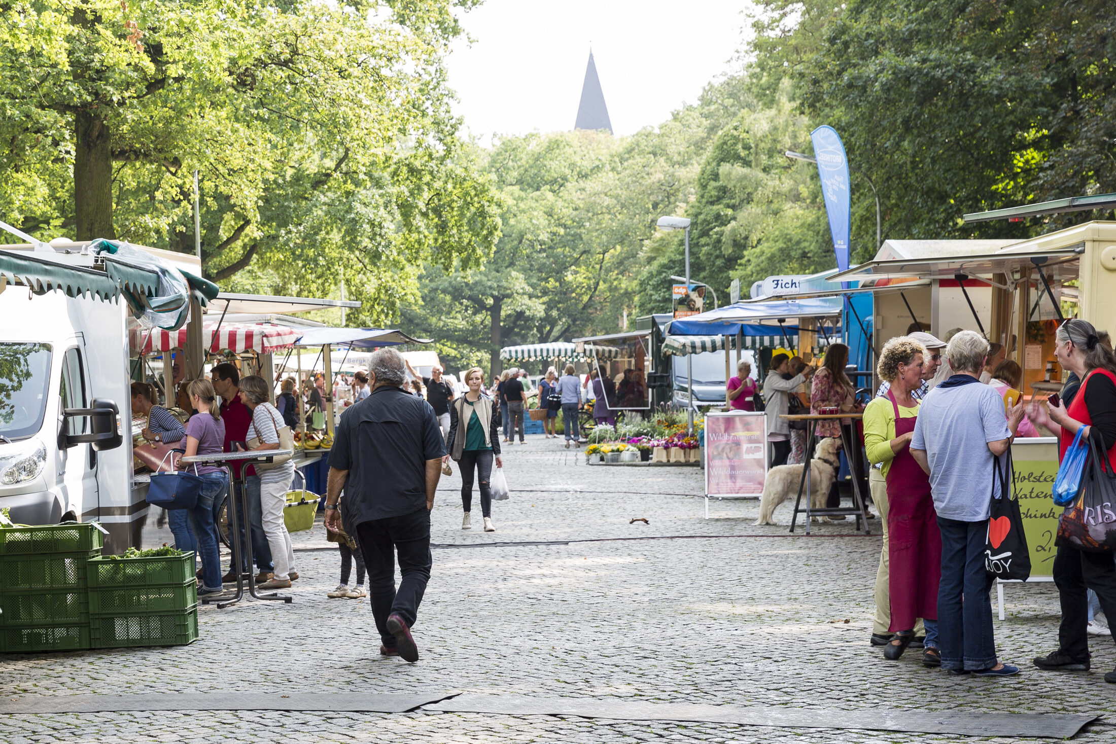 Blick von der Grünewaldstraße in Richtung Jasperallee über den Wochenmarkt (Wird bei Klick vergrößert)