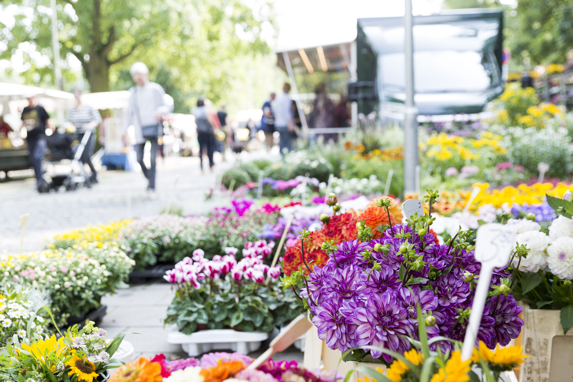 buntes Blumenangebot eines Marktbeschickers (Wird bei Klick vergrößert)