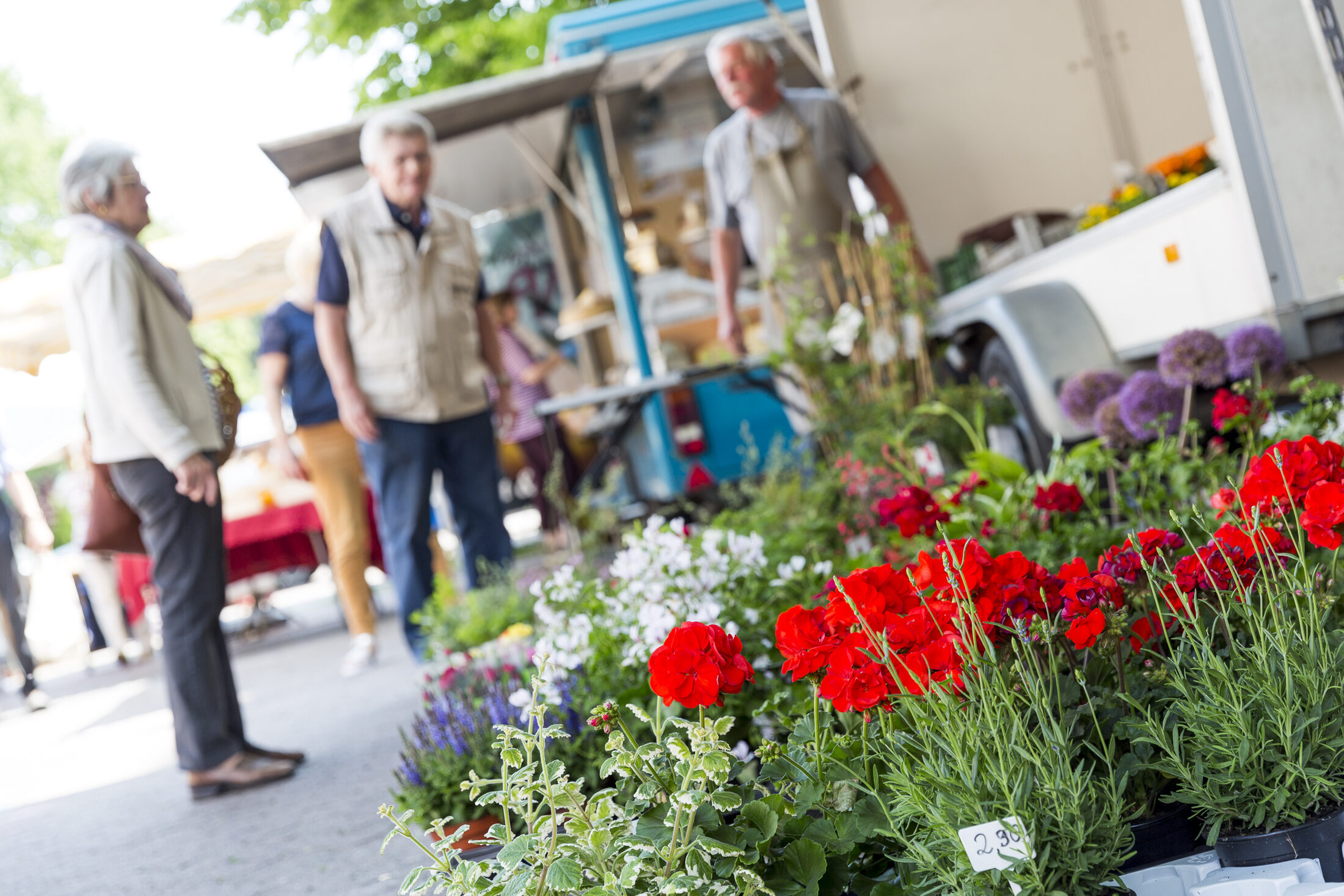 Blumenangebot (Wird bei Klick vergrößert)