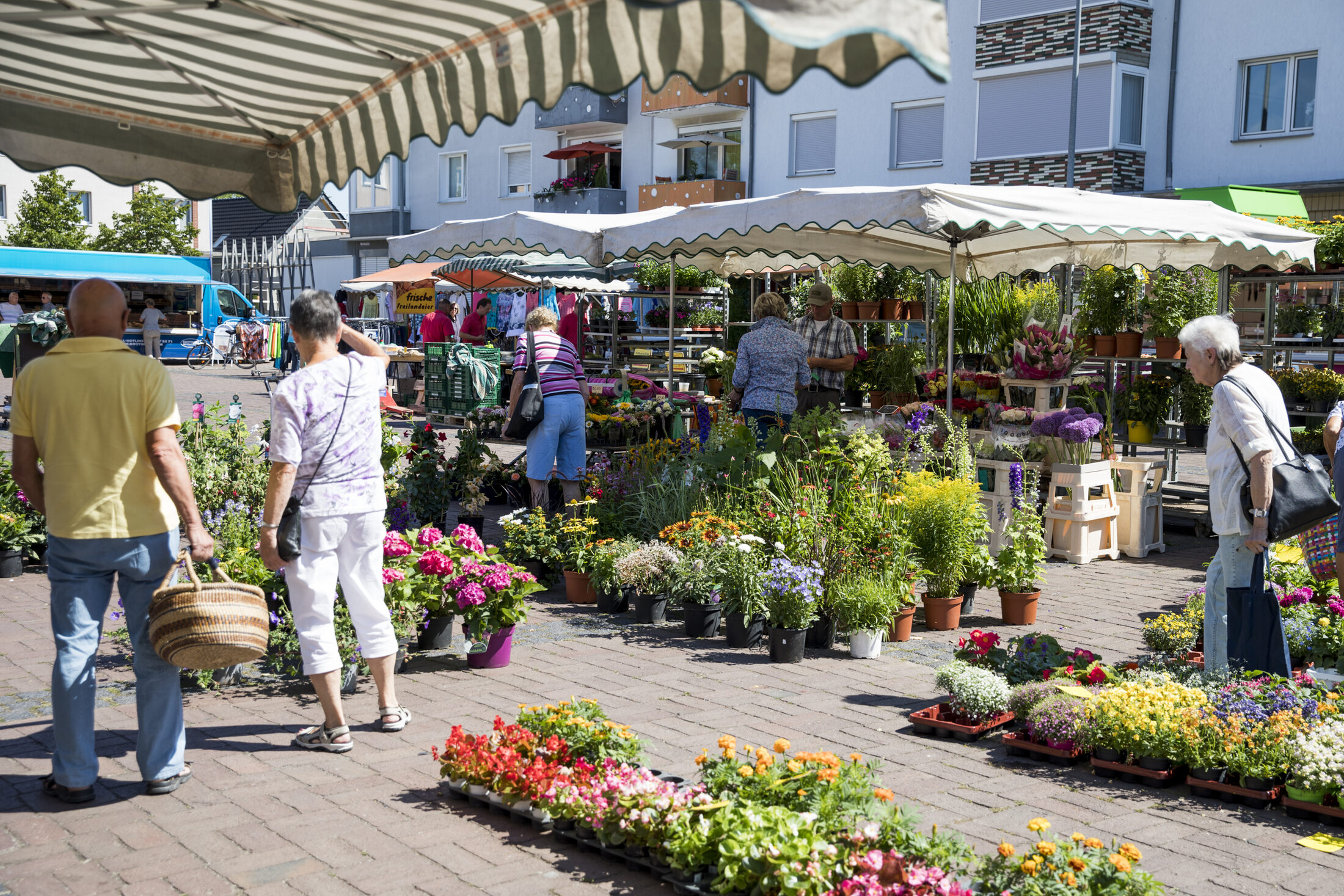 Blumenstand auf dem Wochenmarkt Querum (Wird bei Klick vergrößert)