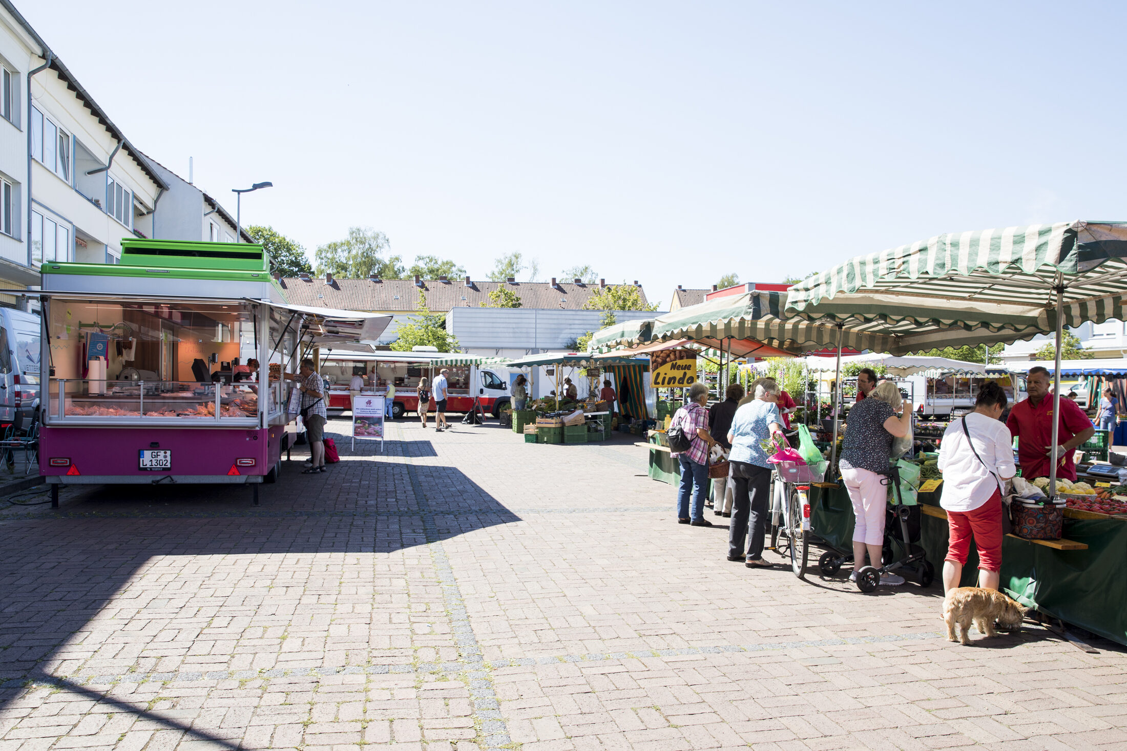 Verkaufsstände auf dem Querumer Wochenmarkt (Wird bei Klick vergrößert)