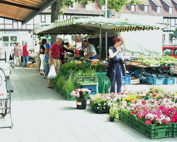 Wochenmarkt auf dem Welfenplatz (Wird bei Klick vergrößert)