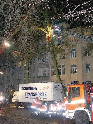 In der Herz. Elisabeth Str. kippte ein Baum gegen einen LKW (Wird bei Klick vergrößert)