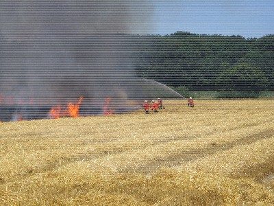 Löscharbeiten am brennenden Getreidefeld (Wird bei Klick vergrößert)