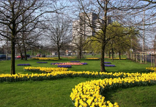 Frühjahrsblüher am Berliner Platz (Wird bei Klick vergrößert)