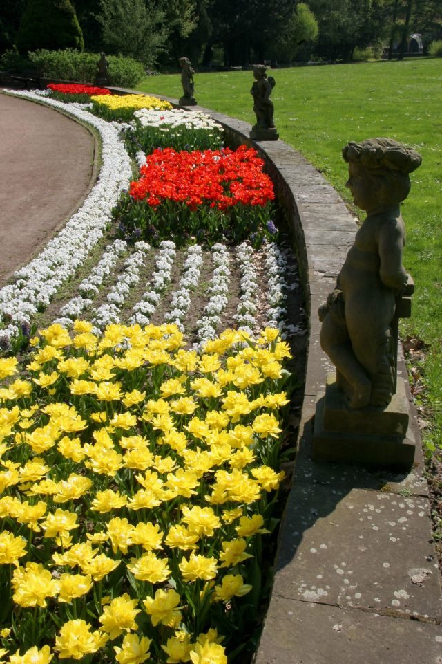 Frühjahrsblüher in städtische Parkanlagen (Wird bei Klick vergrößert)