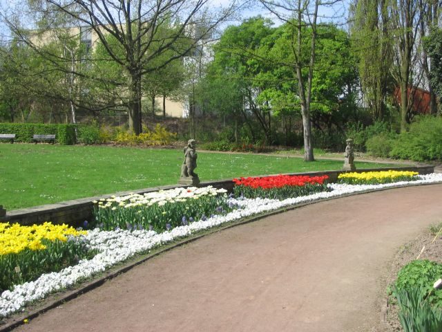 Frühjahrsblüher in städtische Parkanlagen