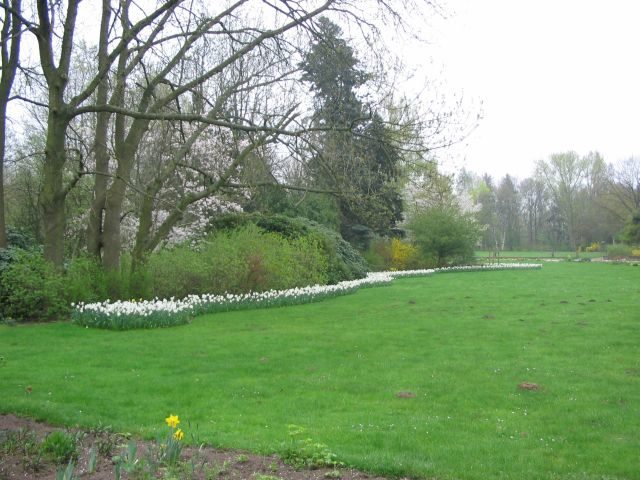Frühjahrsblüher in städtische Parkanlagen