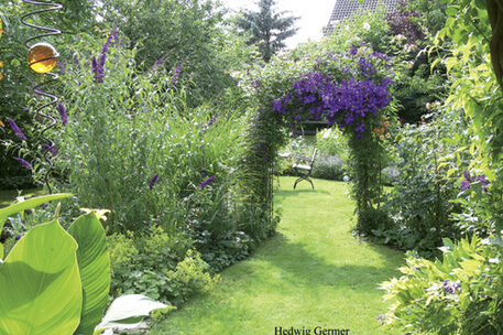 Blick in einen Garten