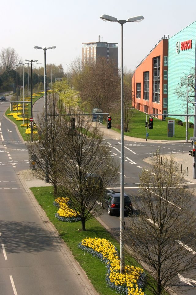 Frühjahrsblüher an der Theodor-Heuss-Straße (Wird bei Klick vergrößert)