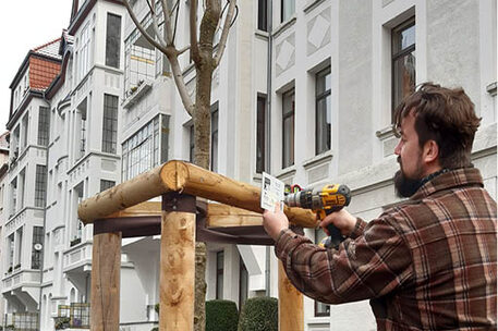 Spendenschild wird von Mitarbeiter des Fachbereichs Stadtgrün und Sport an neuem Spendenbaum in der Wachholtzstraße angebracht