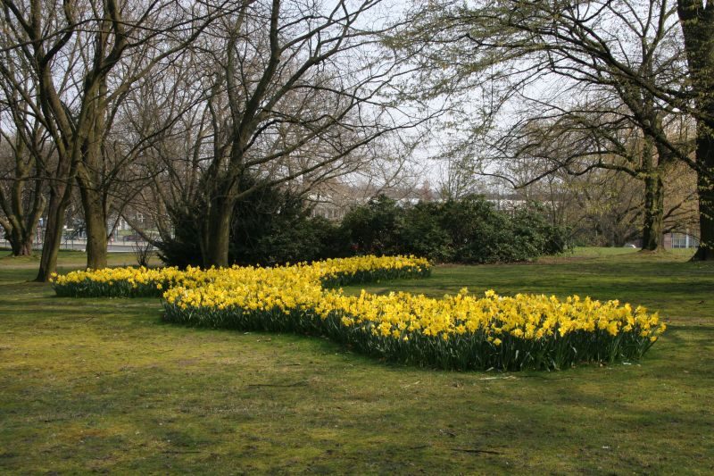 Frühjahrsblüher im Viewegsgarten (Wird bei Klick vergrößert)