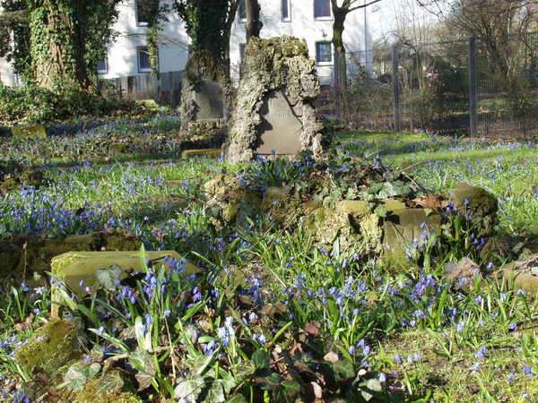 Grab auf dem Petrifriedhof (Wird bei Klick vergrößert)