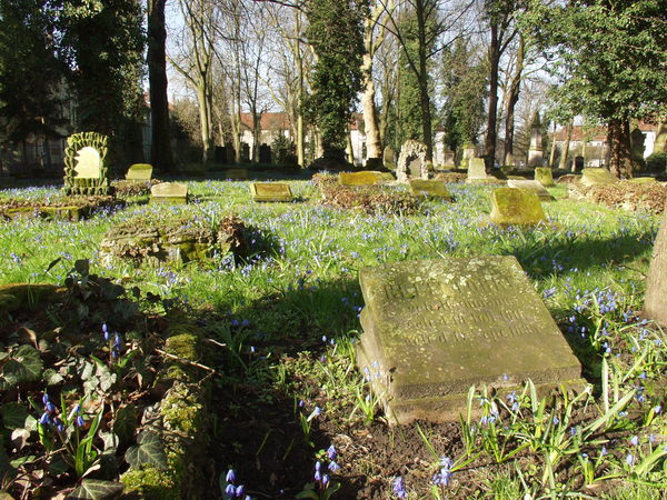 Petrifriedhof (Wird bei Klick vergrößert)