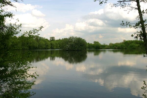 Insel im Fischteich am Raffteichbad (Wird bei Klick vergrößert)