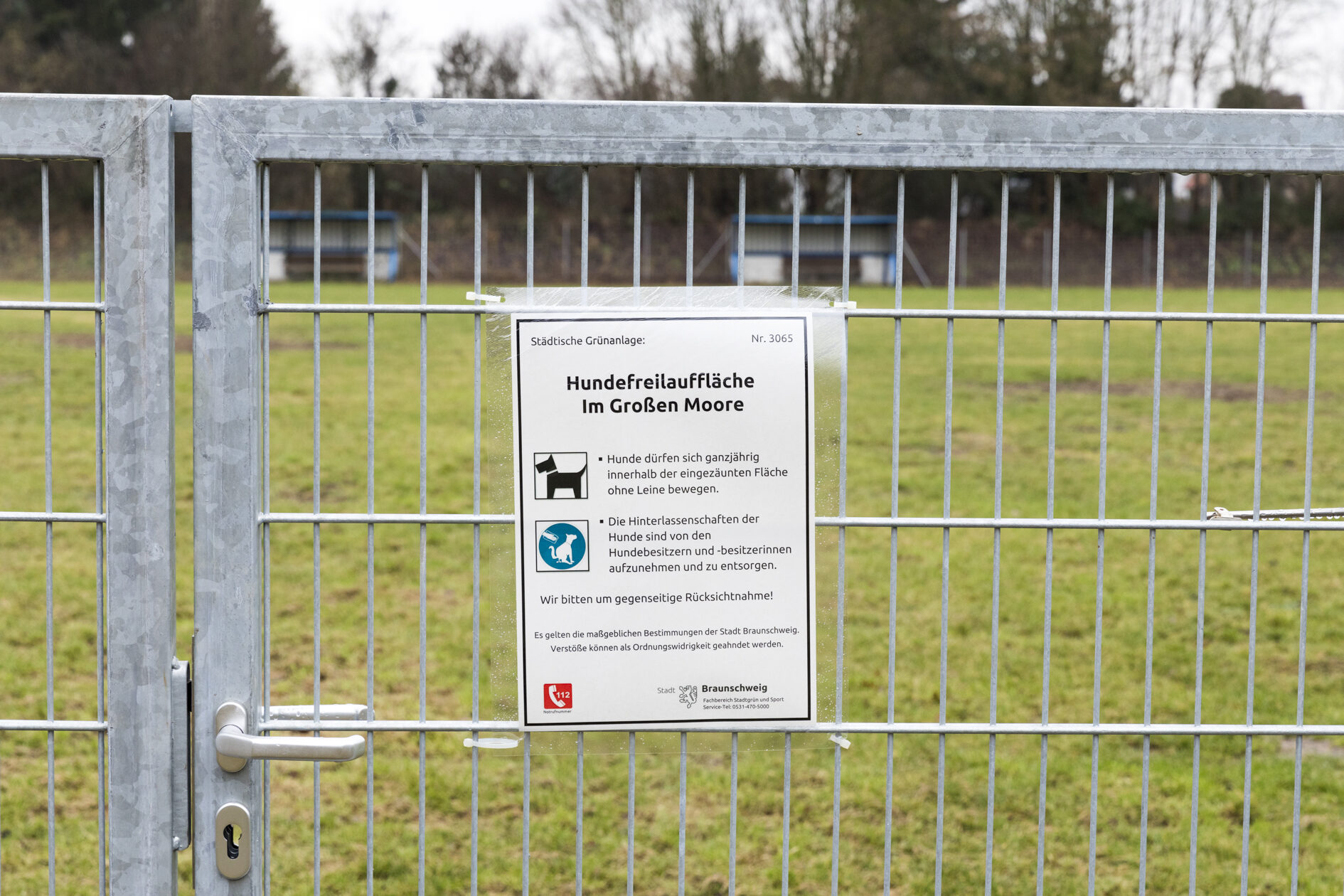 Schild Hundefreilauf - Regeln (Wird bei Klick vergrößert)