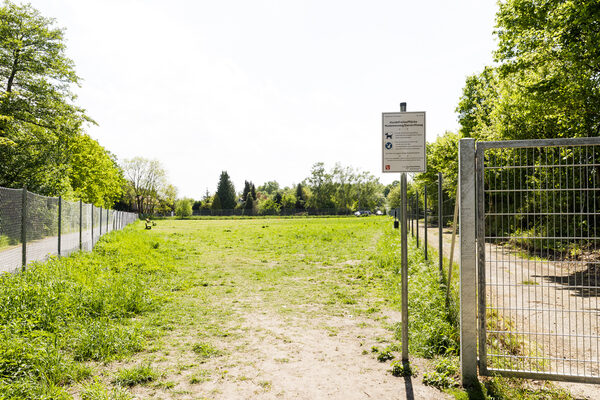 Eingang mit Schild - Hundefreilauffläche Madamenweg/Dorntriftweg (Wird bei Klick vergrößert)